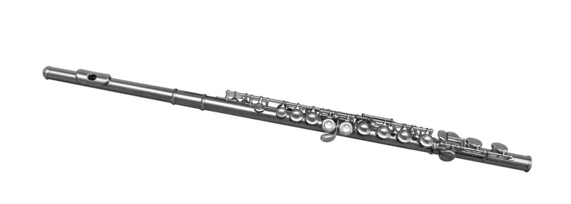 Picture of a Flute-Ensemble